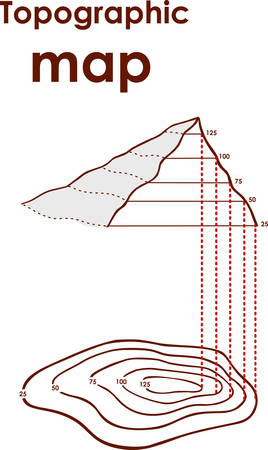 Topographical map of the locality, vector illustrationのイラスト素材