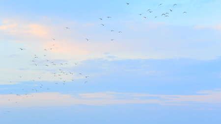 blue skyの写真素材