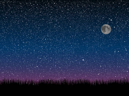 Silhouette of grass on a background of the starry dark blue sky.のイラスト素材