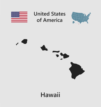 High detailed state map of Hawaii. United States of America illustration divided on states. Vector template state Hawaii USA for your background, website, pattern, infographicのイラスト素材