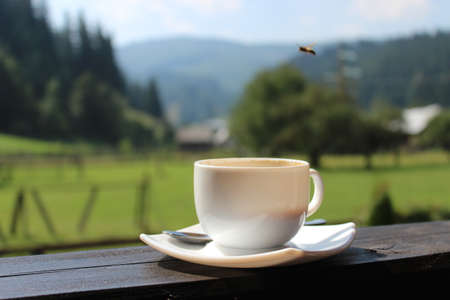 Coffee Cup and little beeの写真素材