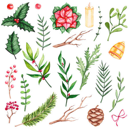 Set of Hand Painted Watercolor Christmas Plants and Decor Elementsの写真素材