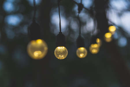 Close-up vintage lamps Orange lights Tree decorated with illuminating the evening, decorate the...