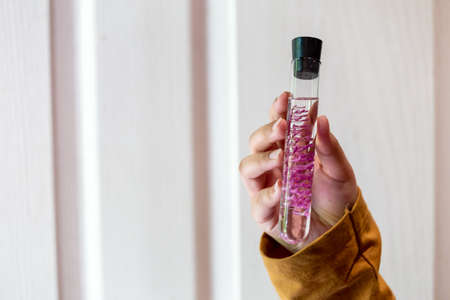 Close-up of a flower in a test tube. His hand-held flowers in an orchid laboratory preserved in a...
