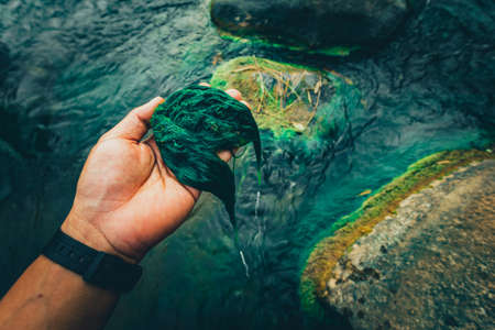 Clear water rapids with green moss grow on the rocks because of the drop in river water levels in the summer.の写真素材
