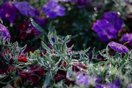 Industrial workers at a close-up welding plantの写真素材