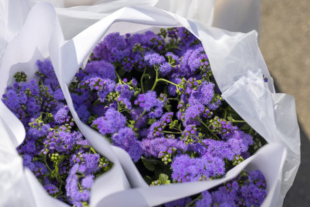 Beautiful bouquet of purple statice flower for sale at market. joyful gift of fresh, vibrant, natural flora wrapped in white paper for special occasion