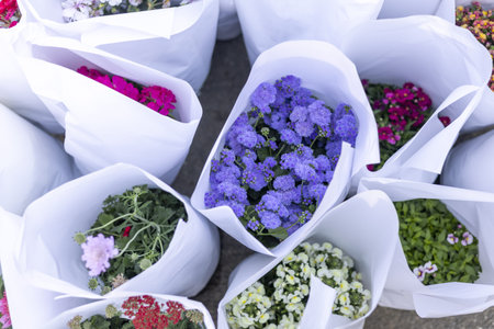 High angle view of beautiful arrangement of many fresh colorful flower bouquet wrapped in white paper. Vibrant purple, pink, and green blossoms ready at an outdoor market