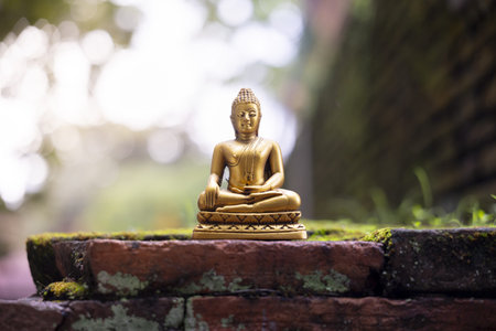 Golden seated Buddha statue on mossy ancient brick wall in serene outdoor temple garden, peaceful meditation and spiritual calm captured in soft natural light