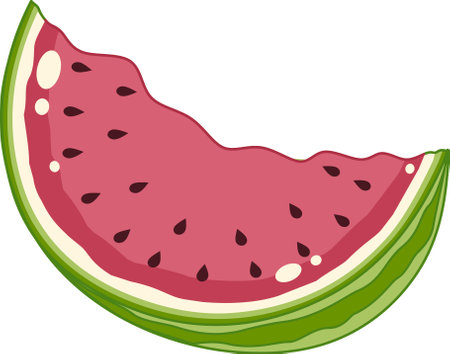 Ripe Large Watermelon Slices. Cute and Simple Style.のイラスト素材