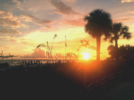 Sunset at the beach.の素材