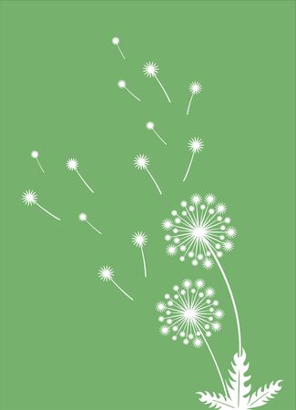 Wall or windows sticker for home decoration. Decal with dandelion and flying seeds. Vector silhouettes.のイラスト素材