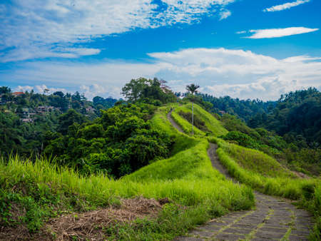 Way to paradiseの写真素材