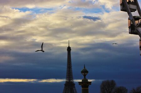 The Eiffel Tower with the ferris wheel in primer and a seagull flyingの写真素材