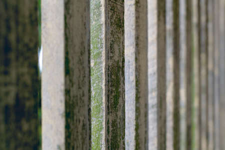 Pattern formed by old wooden fence with moss growing along the fencepostsの写真素材