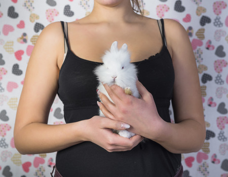 White rabbit in woman hands.の写真素材