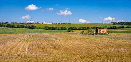 Agriculture field landscape autumn background