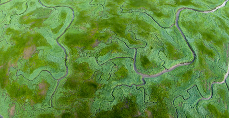 Aerial view of channels and gullies, Seaftinge, Hollandの写真素材