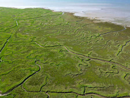 Aerial view of channels and gullies, Seaftinge, Hollandの写真素材