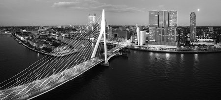 View of the city of Rotterdam at sunsetの写真素材