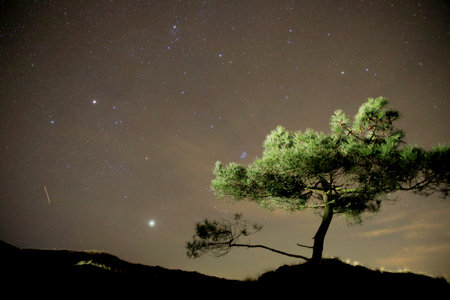 Dark sky at the Boschplaat, Terschelling, The Netherlands