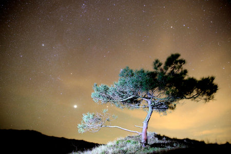 Dark sky at the Boschplaat, Terschelling, The Netherlands