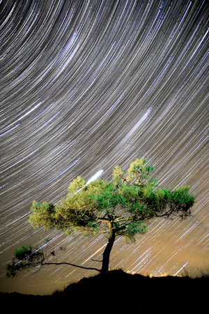 Night sky at the Boschplaat, Terschelling, The Netherlandsの写真素材