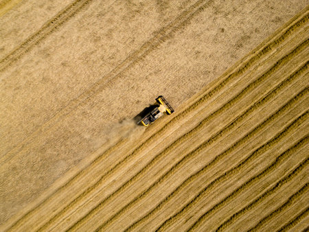 A harvester on a wheat field, Hollandの写真素材