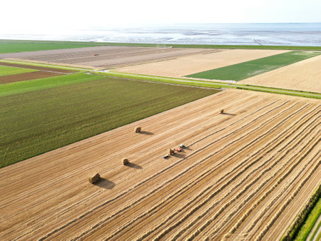 A harvester on a wheat field, Holland