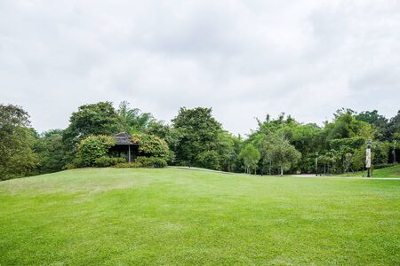 Singapore Botanical Garden Field on a cloudy dayのeditorial素材