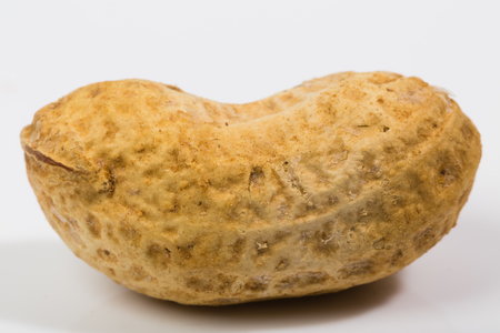 A dried peanut in plain white background