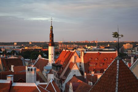 summer evening in Tallinn