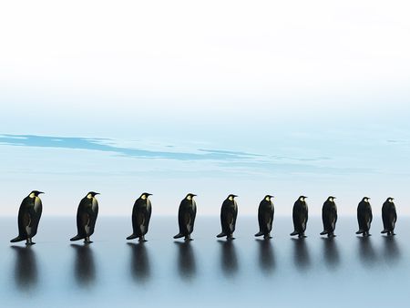 polar lifeの写真素材