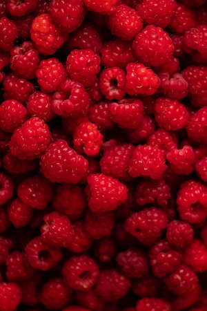 Ripe, juicy, tender and sweet raspberries as a background photoの写真素材