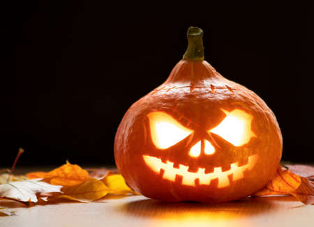 Festive scary halloween pumpkin on leaves on dark backgroundの写真素材