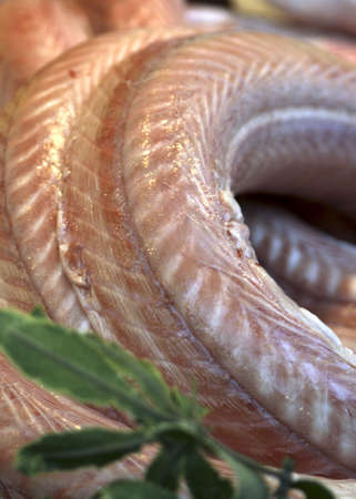 Seafood for sale in Parisの写真素材