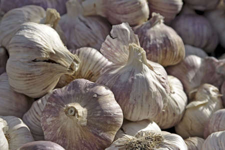 Fresh garlic at a French market in Paris