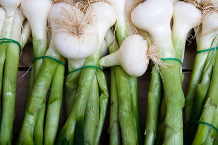 Fresh onions at a market in Paris Franceの写真素材
