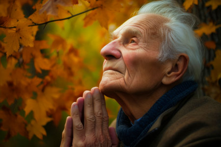Portrait of an elderly woman in the autumn park. Toned.の素材
