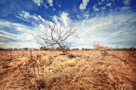 Beautiful field and blue sky in spring with a retro vintage filterの写真素材