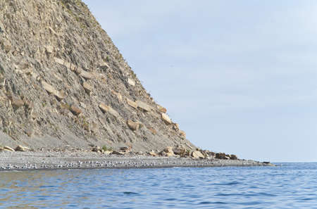 Seagull flock on the beachの写真素材