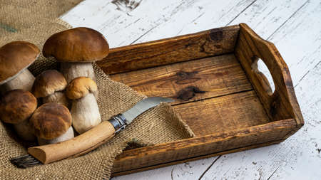 Fresh forest mushrooms, Boletus edulis (king bolete), penny bun, cep, porcini and mushroom knife on wooden tablet on white vintage shabby table, top view backgroundの写真素材