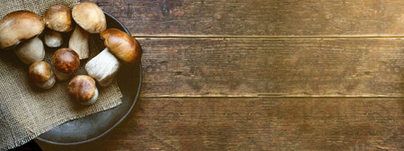 Fresh forest mushrooms, Boletus edulis (king bolete), penny bun, cep, porcini in an old bowl, plate on the wooden dark brown table, top view background banner panoramaの写真素材
