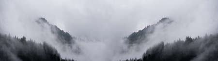 Amazing mystical rising fog forest trees landscape in black forest (Schwarzwald) Germany panorama banner - dark moodの写真素材