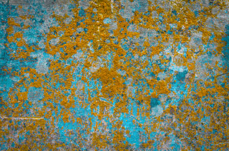 Texture wall moss mushroom braid abstract background