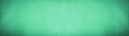 Green colored rustic leather texture - Background banner panorama longの写真素材
