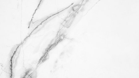 Marbled background banner panorama - High resolution white gray gray Carrara marble stone textureの写真素材
