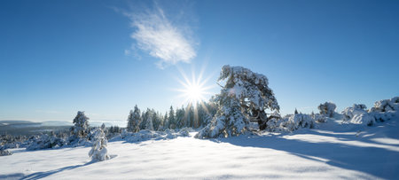 Stunning panorama of snowy landscape in winter in Black Forest - Snow view winter wonderland snowscape background banner with frozen trees, blue sky and sunshineの写真素材