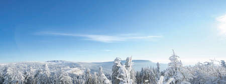 Stunning panorama of snowy landscape in winter in Black Forest - Snow view winter wonderland snowscape background banner with frozen trees, blue sky and sunshineの写真素材