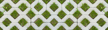 Grass pavers texture background banner panorama, top view